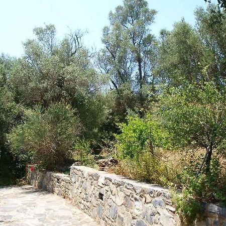Aposperitis Villas Theodhora Exterior photo